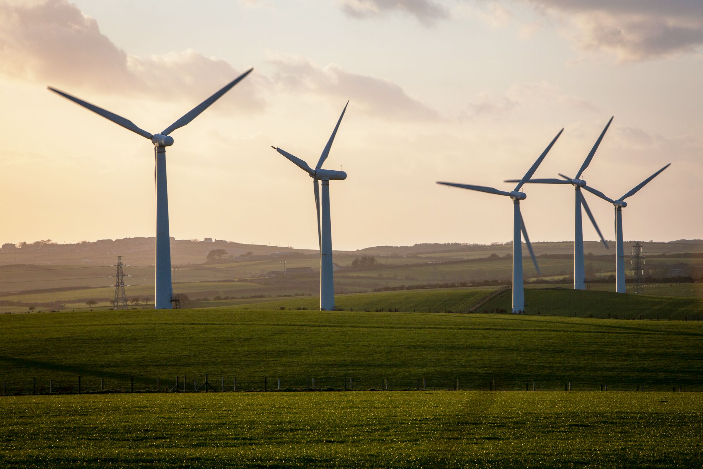 Environment and Sustainability